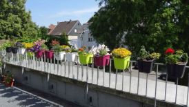 BFS gestaltet Balkonkästen